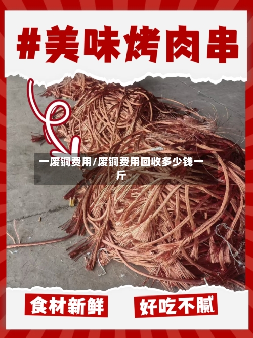 一废铜费用/废铜费用回收多少钱一斤-第3张图片