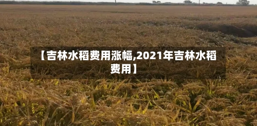 【吉林水稻费用涨幅,2021年吉林水稻费用】
