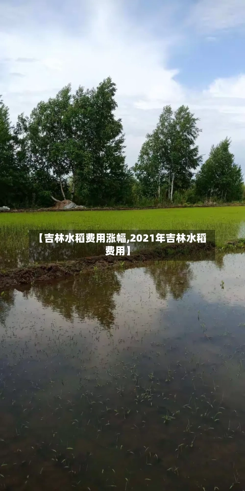 【吉林水稻费用涨幅,2021年吉林水稻费用】-第2张图片