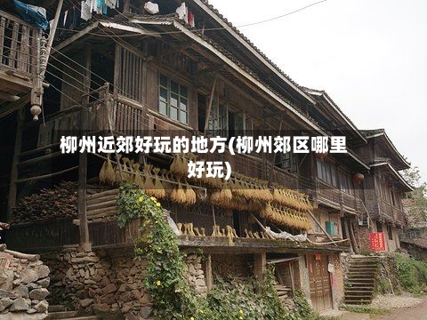 柳州近郊好玩的地方(柳州郊区哪里好玩)