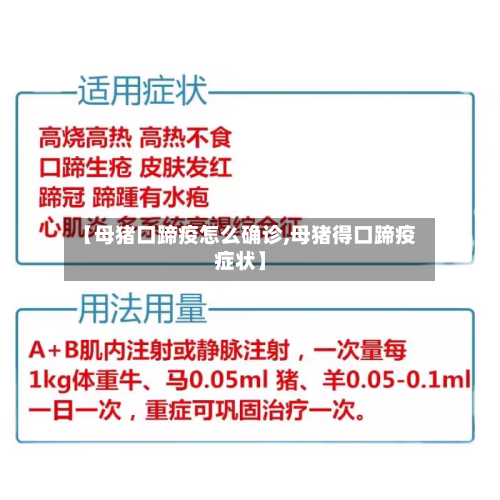【母猪口蹄疫怎么确诊,母猪得口蹄疫症状】-第3张图片