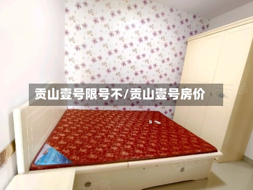 贡山壹号限号不/贡山壹号房价-第2张图片