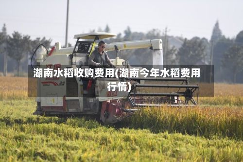 湖南水稻收购费用(湖南今年水稻费用行情)-第2张图片