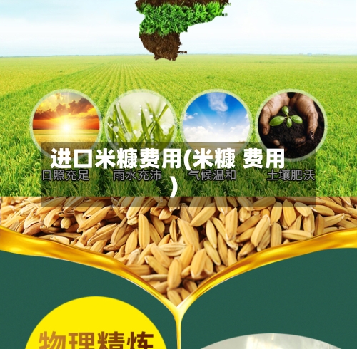 进口米糠费用(米糠 费用)-第3张图片