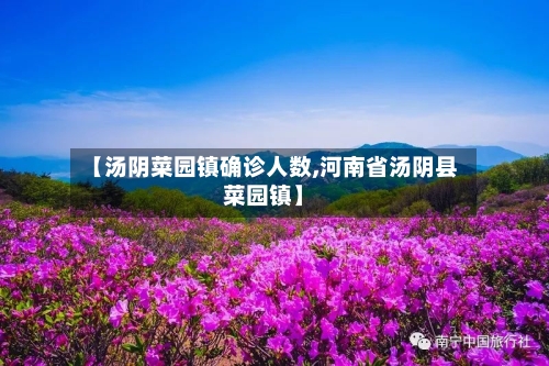 【汤阴菜园镇确诊人数,河南省汤阴县菜园镇】