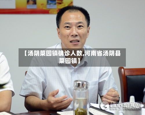 【汤阴菜园镇确诊人数,河南省汤阴县菜园镇】-第2张图片