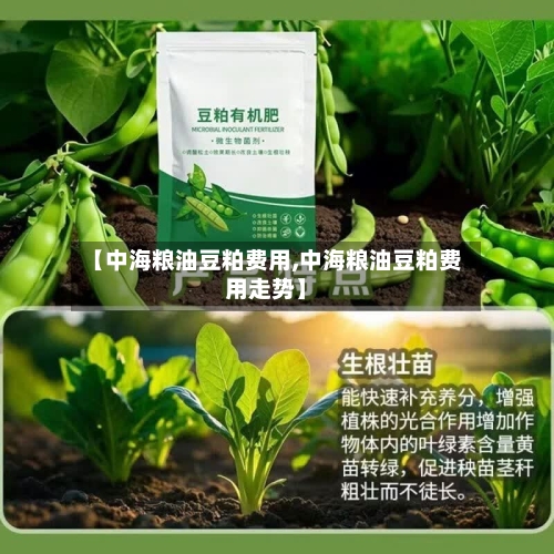 【中海粮油豆粕费用,中海粮油豆粕费用走势】