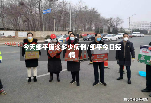 今天邹平确诊多少病例/邹平今日疫情-第3张图片