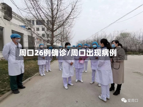 周口26例确诊/周口出现病例-第2张图片