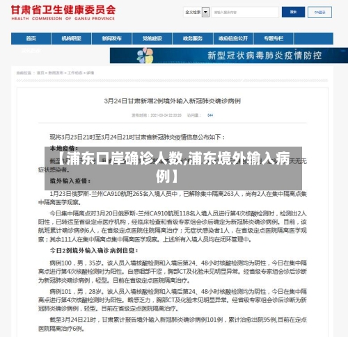 【浦东口岸确诊人数,浦东境外输入病例】-第3张图片