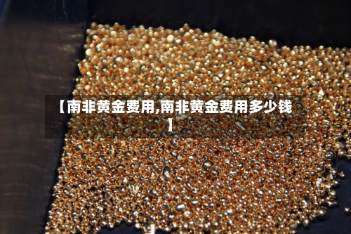 【南非黄金费用,南非黄金费用多少钱】-第2张图片