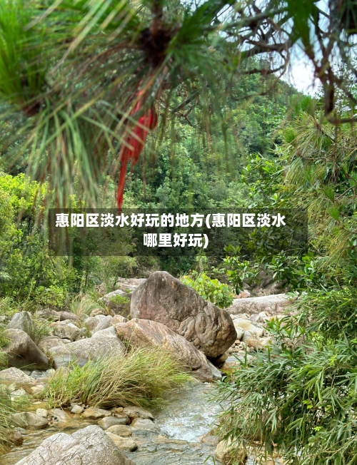 惠阳区淡水好玩的地方(惠阳区淡水哪里好玩)