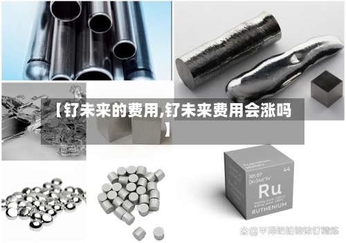【钌未来的费用,钌未来费用会涨吗】-第2张图片