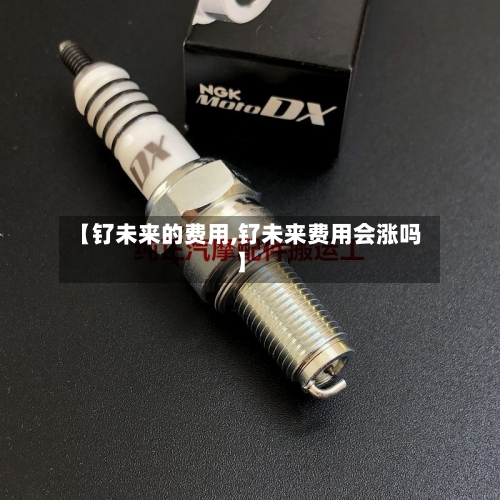 【钌未来的费用,钌未来费用会涨吗】