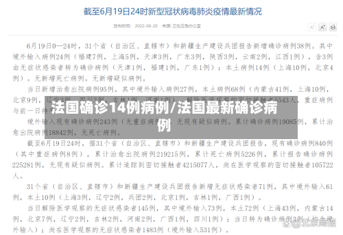 法国确诊14例病例/法国最新确诊病例-第2张图片