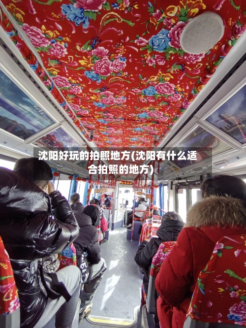 沈阳好玩的拍照地方(沈阳有什么适合拍照的地方)
