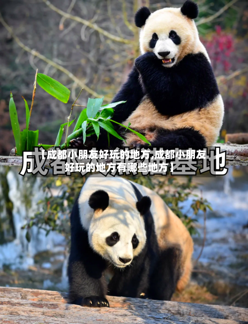 【成都小朋友好玩的地方,成都小朋友好玩的地方有哪些地方】-第3张图片