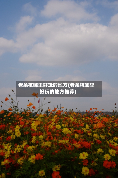 老余杭哪里好玩的地方(老余杭哪里好玩的地方推荐)