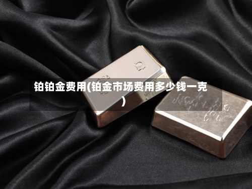 铂铂金费用(铂金市场费用多少钱一克)