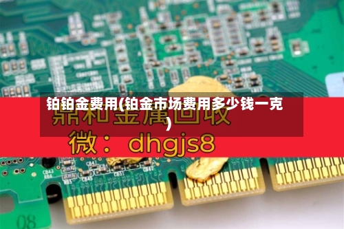 铂铂金费用(铂金市场费用多少钱一克)-第2张图片