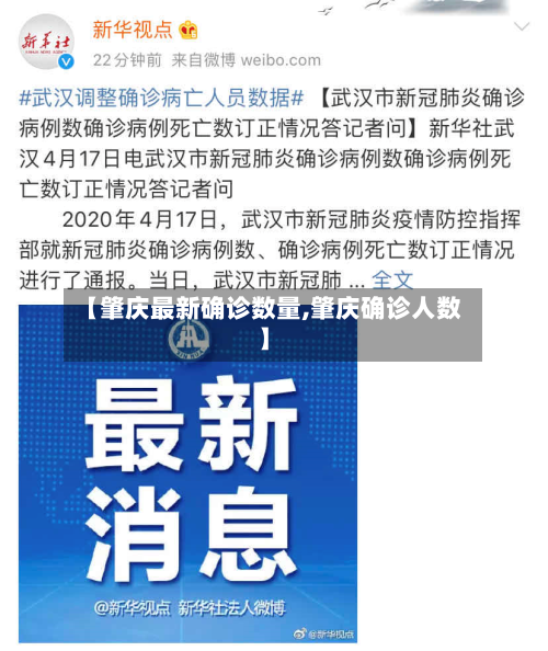 【肇庆最新确诊数量,肇庆确诊人数】