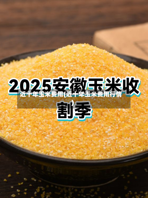 近十年玉米费用(近十年玉米费用行情)-第3张图片