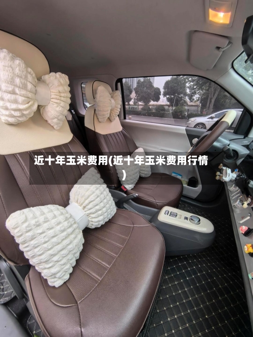 近十年玉米费用(近十年玉米费用行情)-第2张图片