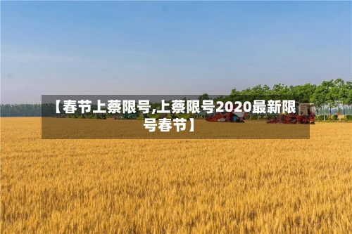 【春节上蔡限号,上蔡限号2020最新限号春节】