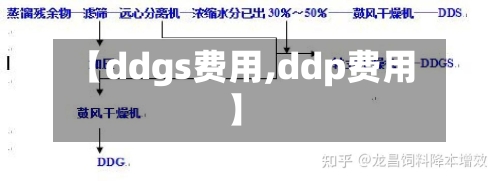 【ddgs费用,ddp费用】