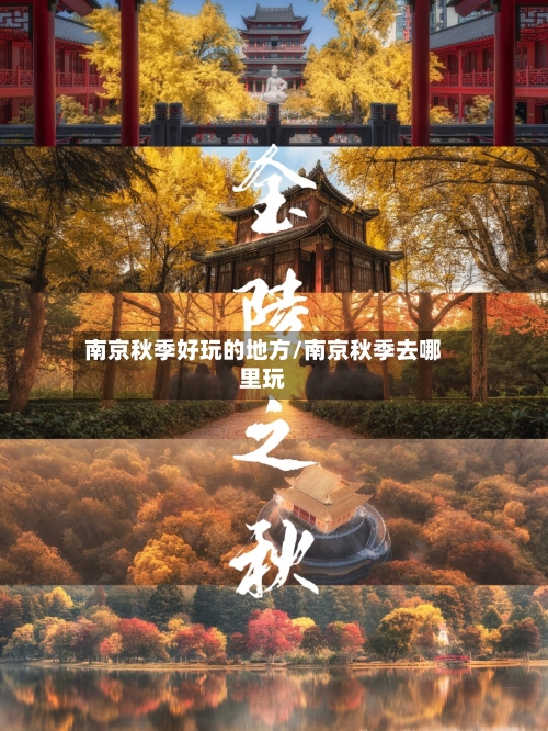南京秋季好玩的地方/南京秋季去哪里玩