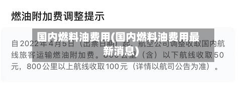 国内燃料油费用(国内燃料油费用最新消息)-第3张图片