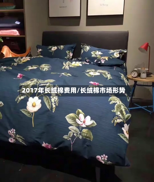 2017年长绒棉费用/长绒棉市场形势-第3张图片