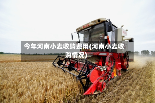 今年河南小麦收购费用(河南小麦收购情况)