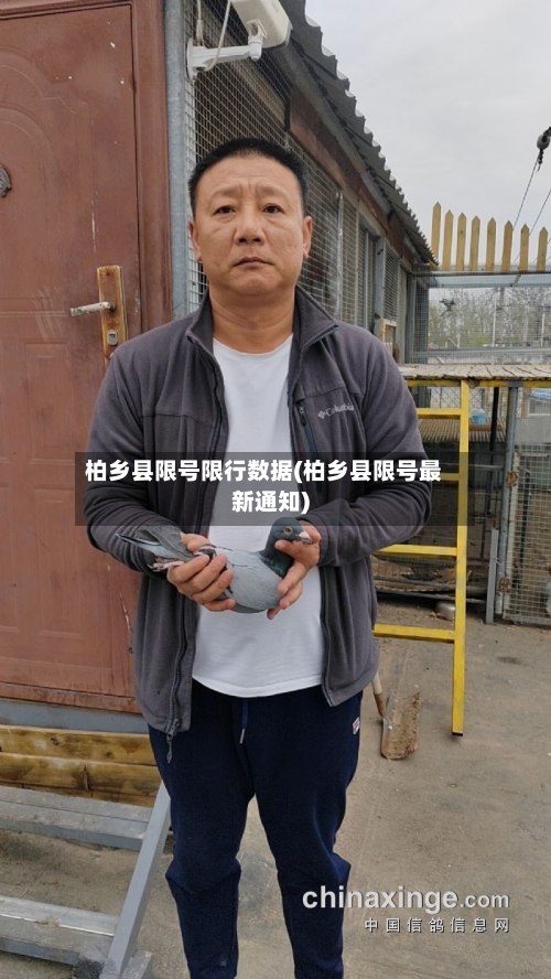 柏乡县限号限行数据(柏乡县限号最新通知)-第2张图片