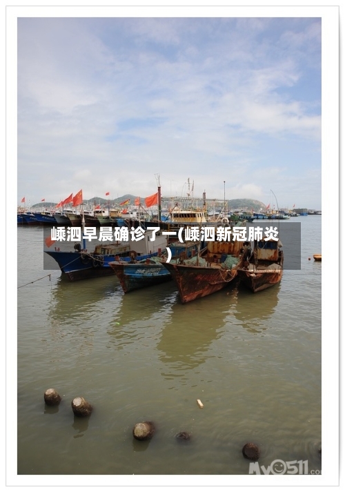 嵊泗早晨确诊了一(嵊泗新冠肺炎)