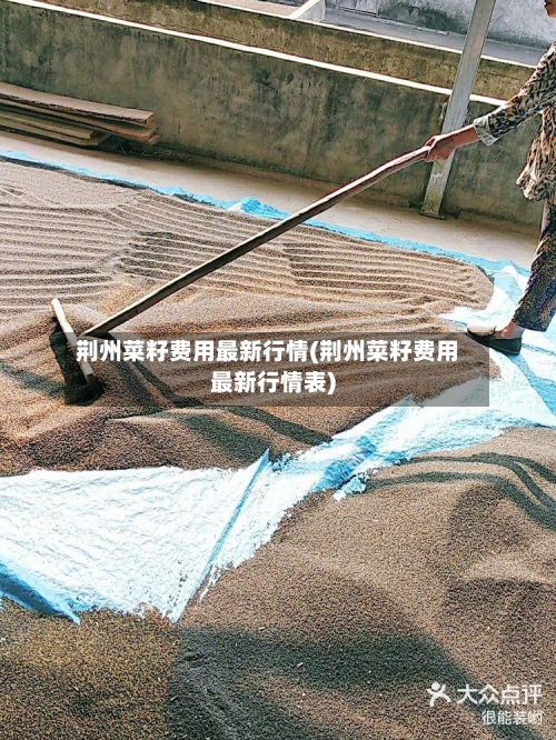 荆州菜籽费用最新行情(荆州菜籽费用最新行情表)