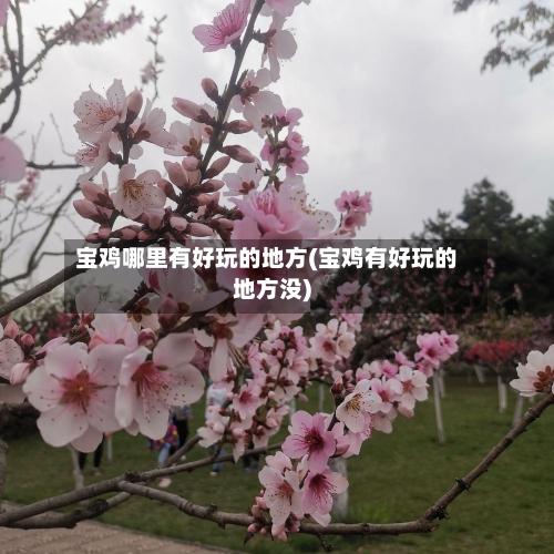 宝鸡哪里有好玩的地方(宝鸡有好玩的地方没)-第3张图片