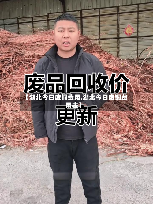 【湖北今日废铜费用,湖北今日废铜费用表】-第2张图片