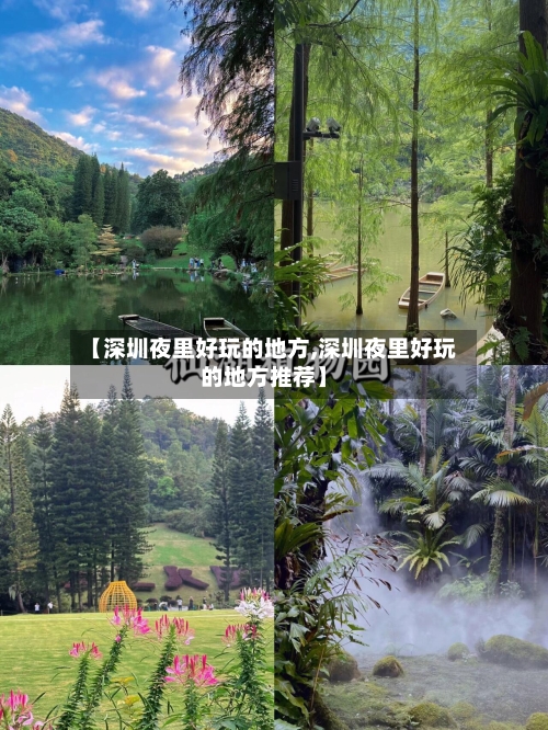 【深圳夜里好玩的地方,深圳夜里好玩的地方推荐】-第2张图片