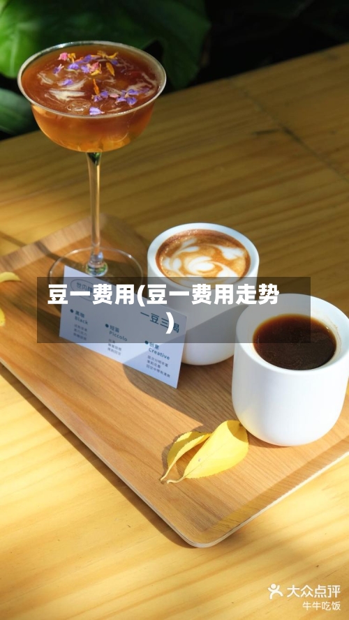 豆一费用(豆一费用走势)