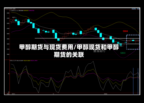 甲醇期货与现货费用/甲醇现货和甲醇期货的关联-第2张图片