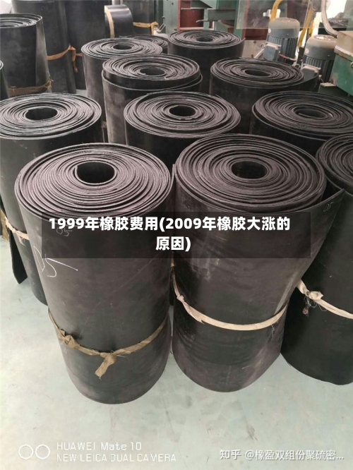 1999年橡胶费用(2009年橡胶大涨的原因)