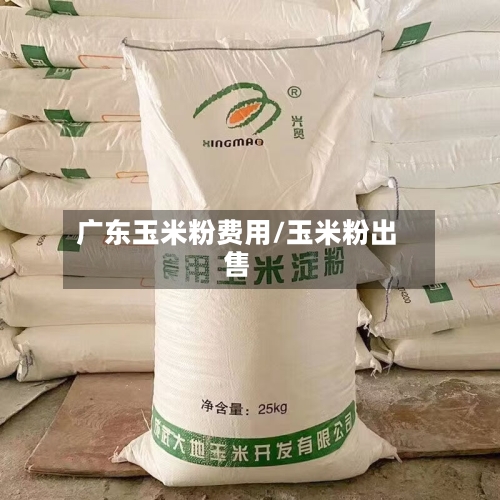广东玉米粉费用/玉米粉出售