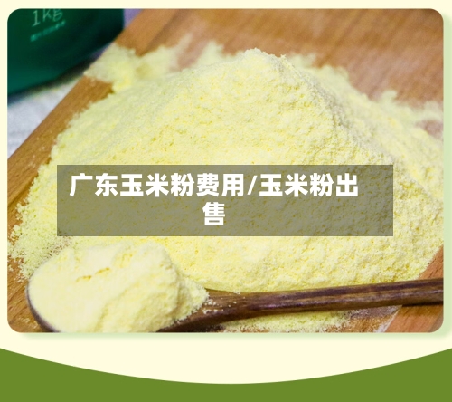 广东玉米粉费用/玉米粉出售-第2张图片