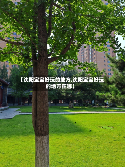 【沈阳宝宝好玩的地方,沈阳宝宝好玩的地方在哪】