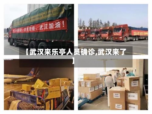 【武汉来乐亭人员确诊,武汉来了】