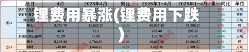 锂费用暴涨(锂费用下跌)-第2张图片