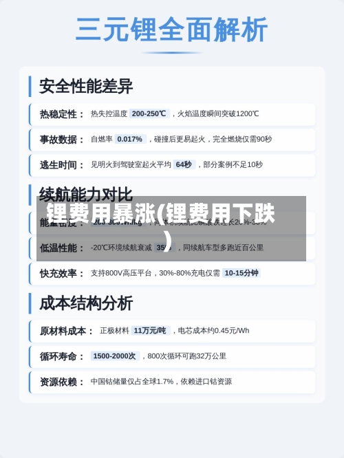 锂费用暴涨(锂费用下跌)-第3张图片