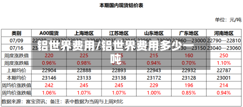 铝世界费用/铝世界费用多少一吨