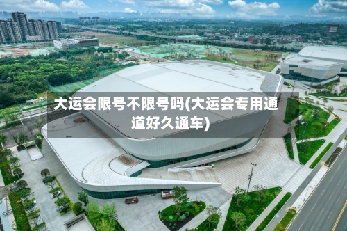 大运会限号不限号吗(大运会专用通道好久通车)